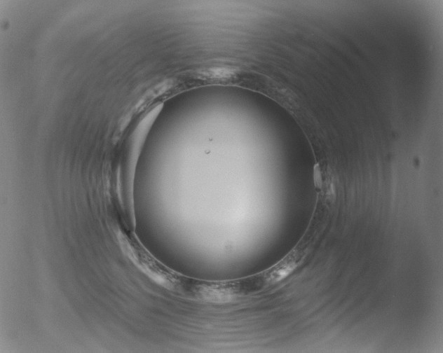 X0000052940568200507081147