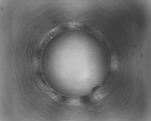 X0000052940569200507081147