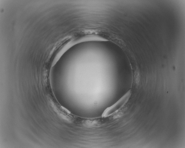 X0000052940570200507081147