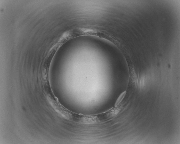 X0000052940571200507081147