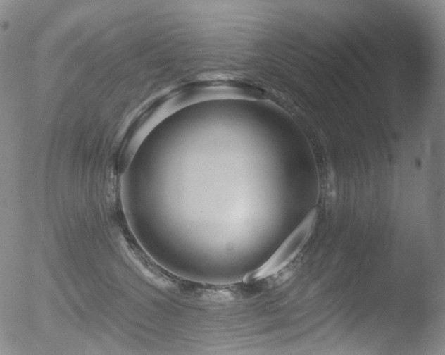 X0000052940572200507081147