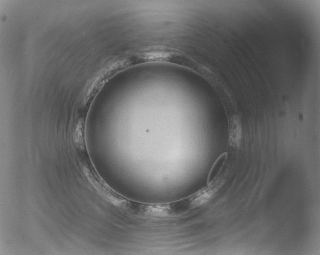 X0000052940573200507081147