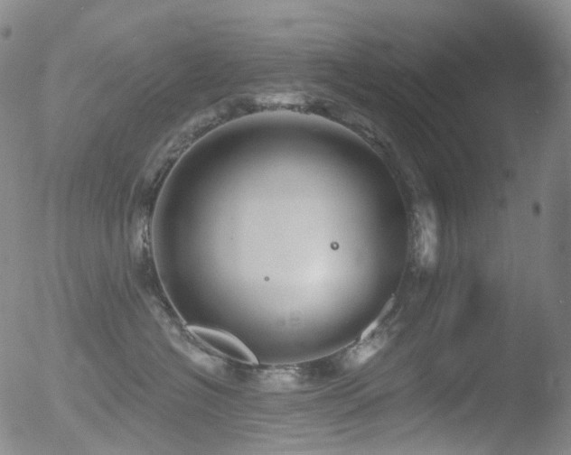 X0000052940574200507081147