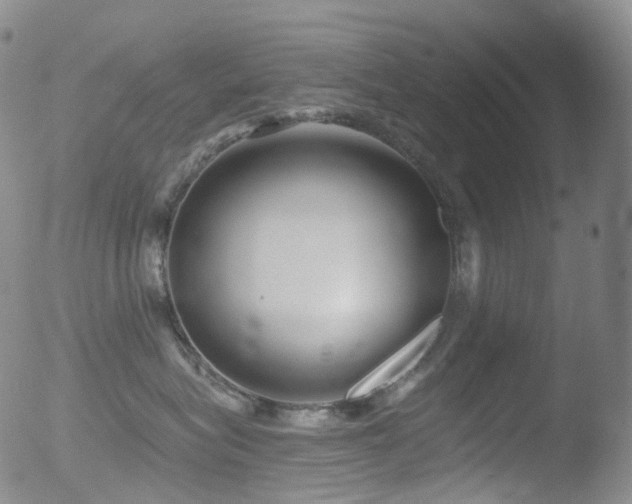 X0000052940575200507081147