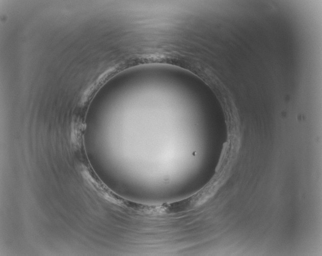 X0000052940576200507081147