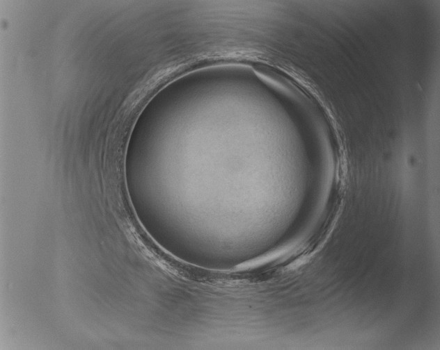 X0000052940577200507081146