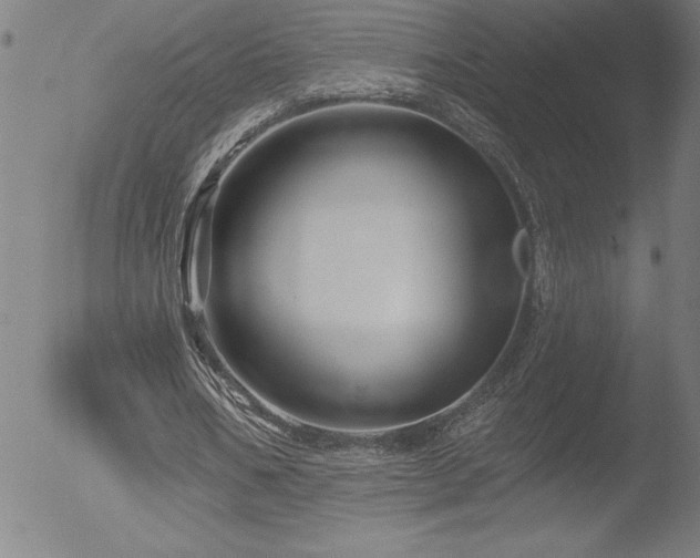 X0000052940578200507081146