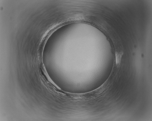 X0000052940579200507081146