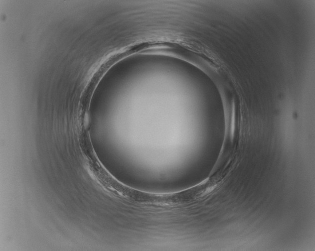 X0000052940580200507081146