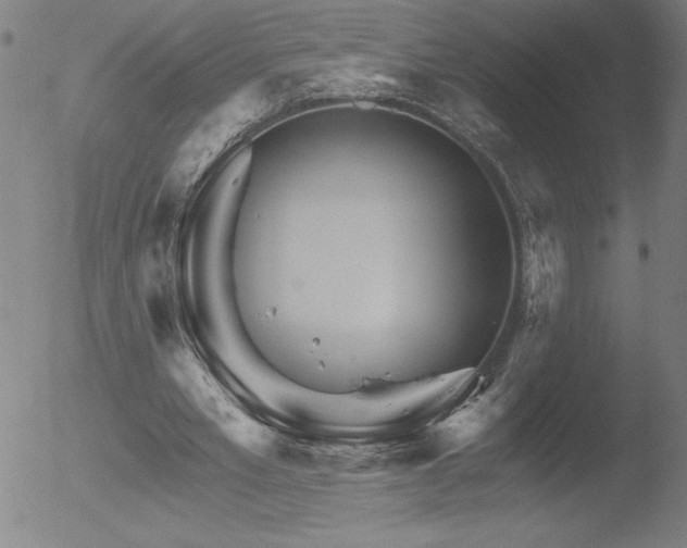 X0000052940581200507081146