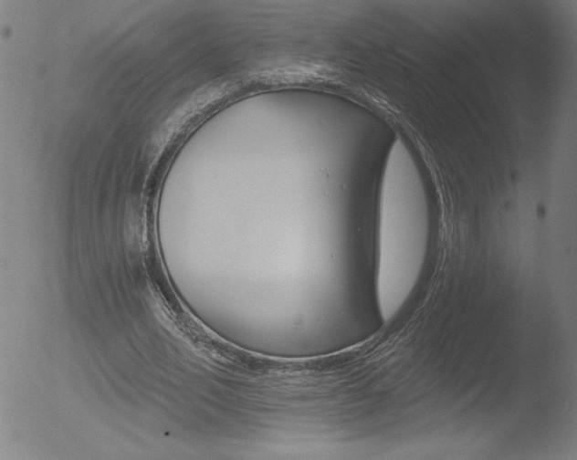 X0000052940582200507081146