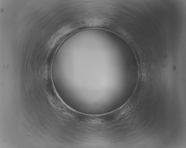 X0000052940583200507081146