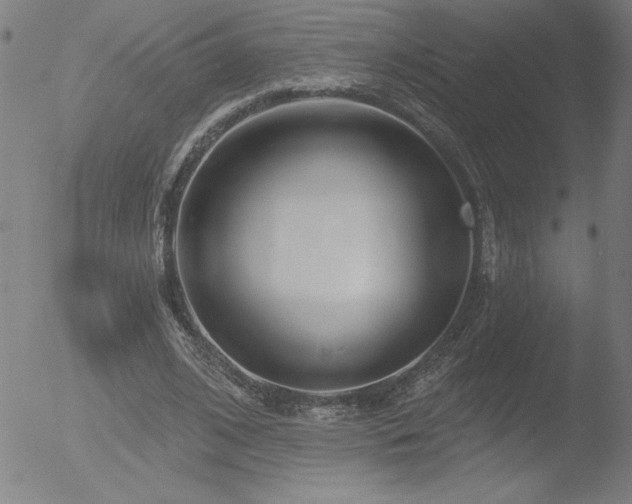 X0000052940584200507081146