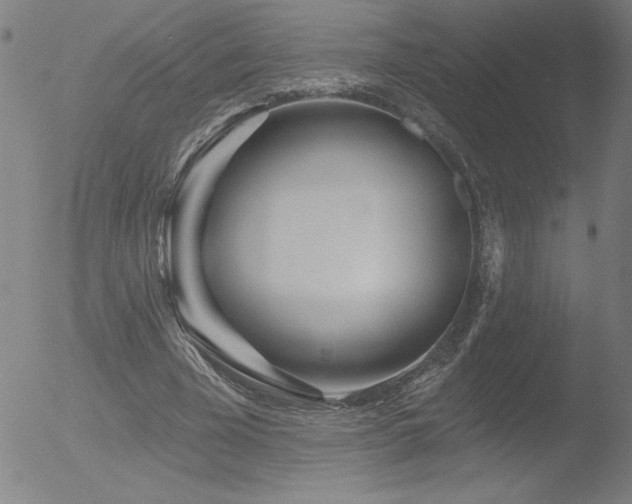 X0000052940585200507081146