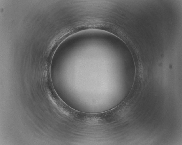 X0000052940586200507081146