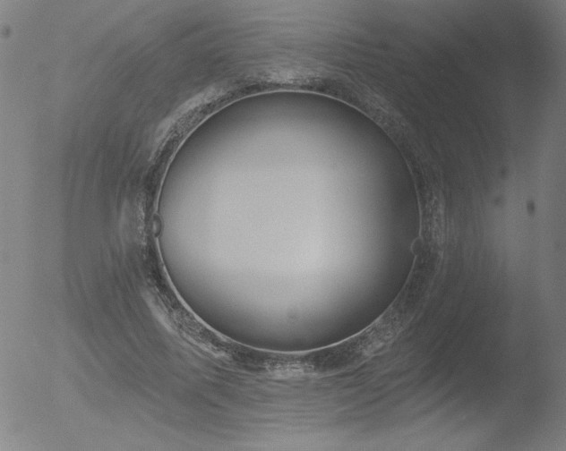 X0000052940587200507081146