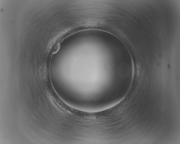 X0000052940588200507081146