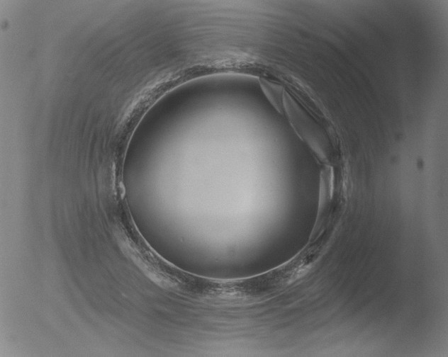 X0000052940589200507081146