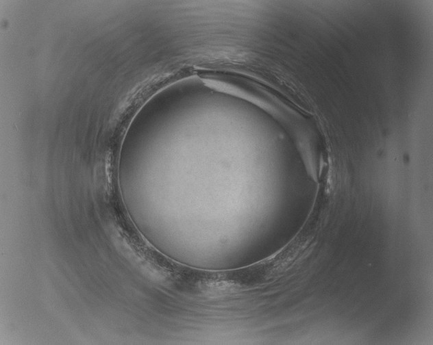 X0000052940590200507081146