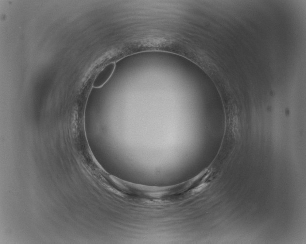 X0000052940591200507081146