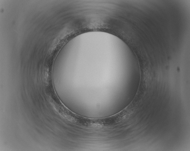 X0000052940592200507081146