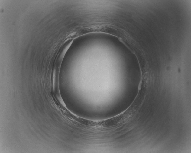 X0000052940593200507081146