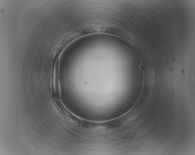 X0000052940594200507081146