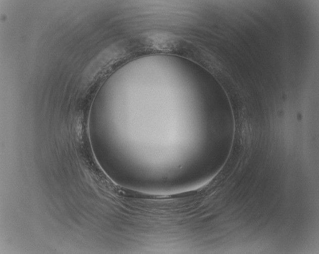 X0000052940595200507081146