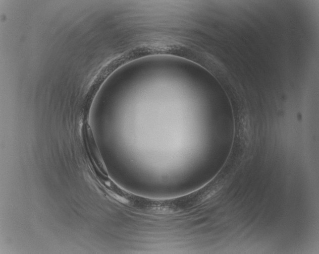 X0000052940596200507081146