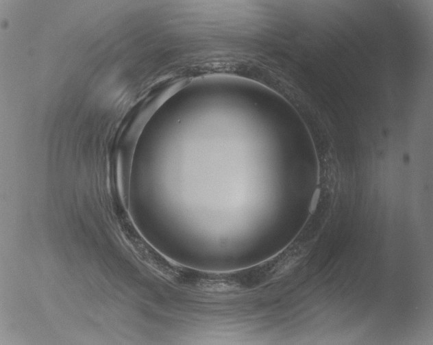 X0000052940597200507081146