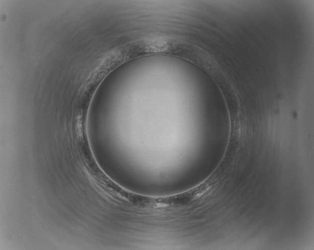 X0000052940598200507081146