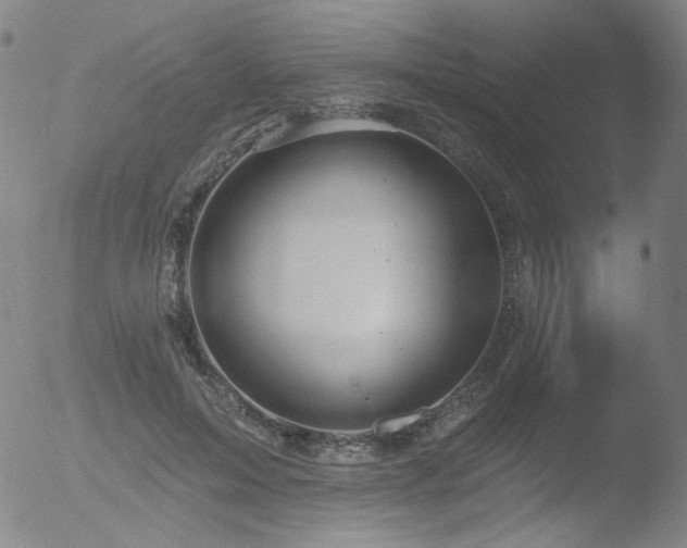 X0000052940599200507081146