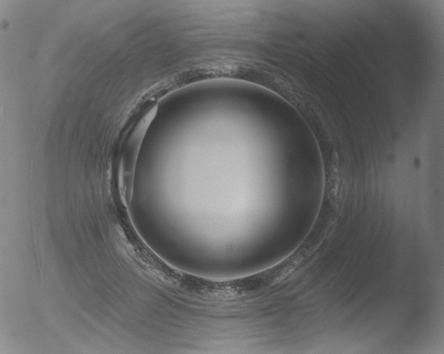 X0000052940600200507081146