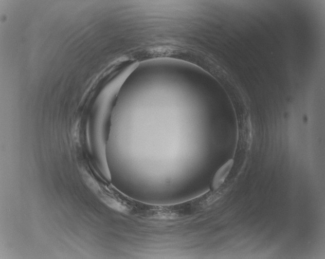 X0000052940601200507081146