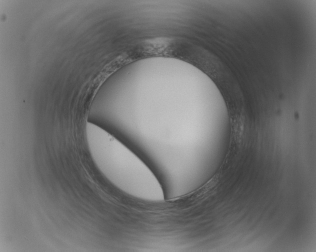 X0000052940602200507081146