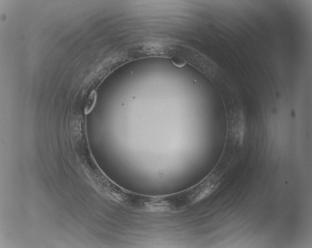 X0000052940603200507081146