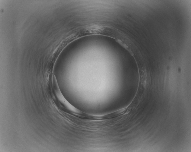 X0000052940604200507081146