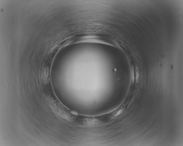 X0000052940605200507081146