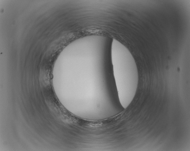 X0000052940606200507081146