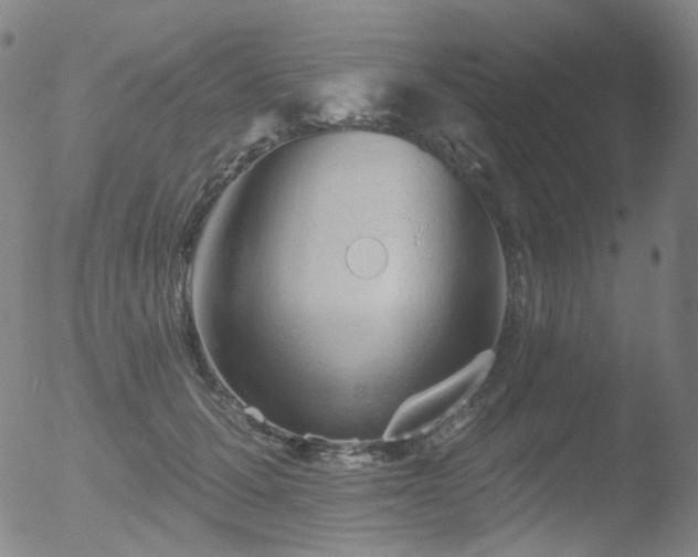 X0000052940607200507081146