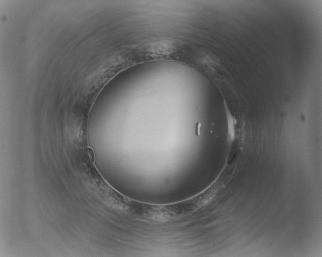 X0000052940608200507081146