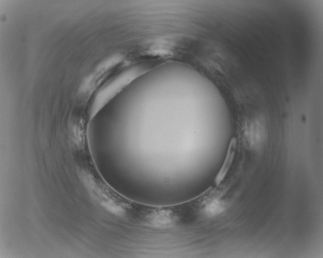 X0000052940609200507081146