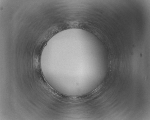 X0000052940610200507081146