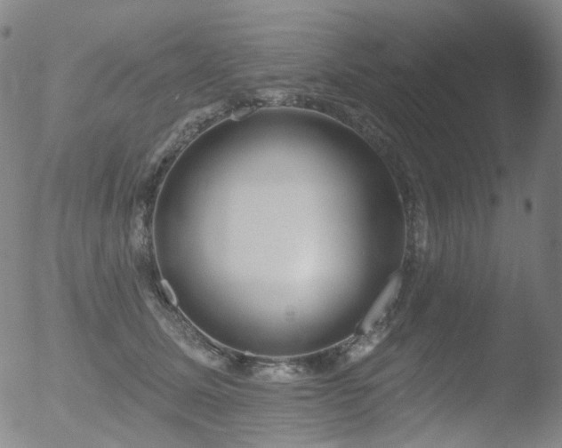 X0000052940611200507081146