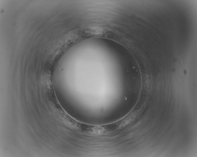 X0000052940612200507081146