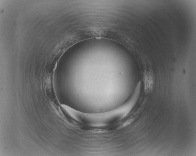 X0000052940613200507081146