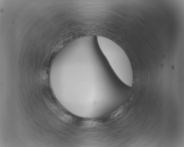 X0000052940614200507081146