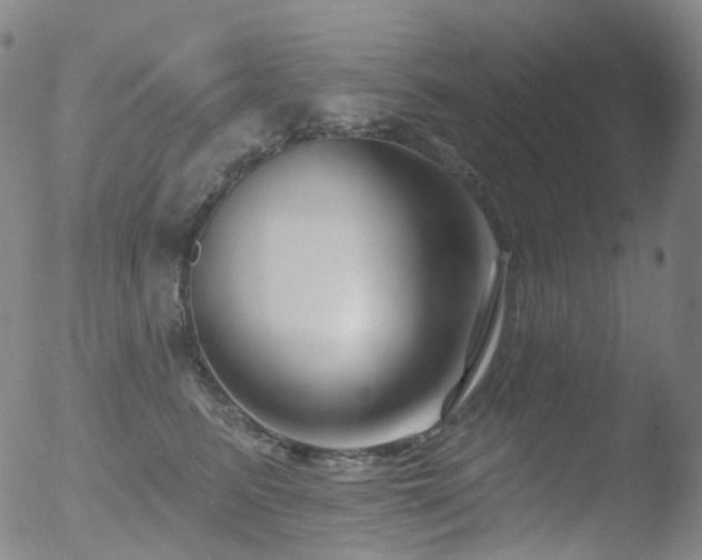 X0000052940615200507081146