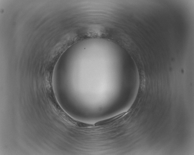 X0000052940616200507081146