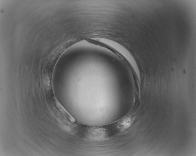 X0000052940617200507081146